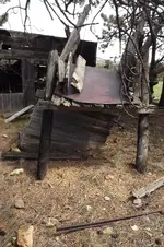 DSCF5327.webp