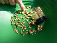 Pointing-at-gold.webp