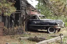 DSCF5330.webp