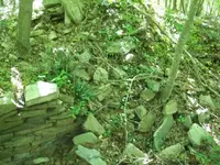 101_3829.webp