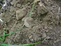 101_3832.webp