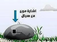 DBM-207925643-Amjad.crop.webp