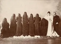 SutherlandSisters.webp SutherlandSisters.webp