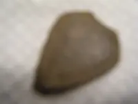 DSCF0554.webp