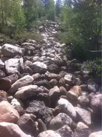 image-2407496104.webp