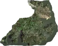 Park 1.webp