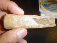 bone handle 007.webp
