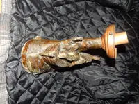 DSCN1455.webp