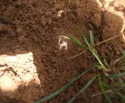 DSCF2094.webp