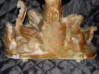 DSCN1457.webp