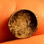 NH FINDS 07-05-2013 018.webp