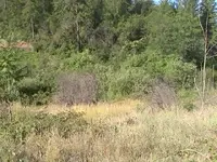 PIC_0312.webp