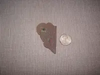 butterfly buckle.webp butterfly buckle.webp
