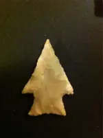 image-1339617000.webp