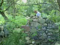 rock structure.webp