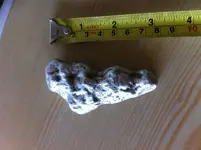 metal nugget 001.webp