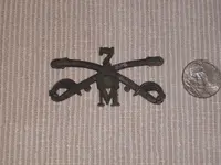 hat badge A.webp hat badge A.webp