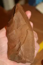 IMG_8843.webp
