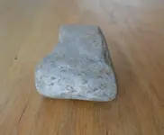 DSCN0587.webp
