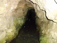 DSCN0006.webp
