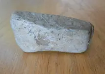 DSCN0592.webp