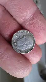 7-6 silver from backyard.webp