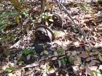 DSCN0025.webp