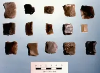 Alamo gunflints.webp