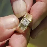 Ring_7088.webp