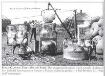 Ball_Brothers_scan_Postcards_book_essay_page.webp