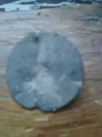 image-3170267113.webp