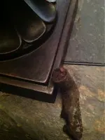 image-1826806453.webp