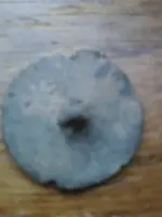 image-4267840966.webp