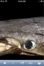 image-750616889.webp