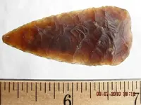 DSCN3013.webp
