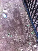 image-4174908205.webp