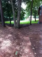 image-749396603.webp