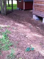image-3522519913.webp