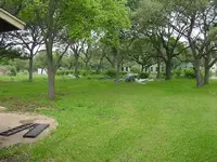 Backyard.webp