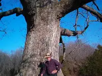 IM000983.webp
