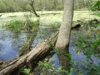 g14 (Small).webp g14 (Small).webp