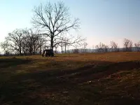 IM000987.webp