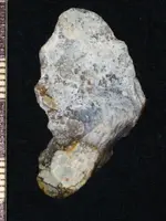 Copy of artifacts 1 376.webp