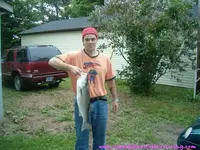 minus 60 pounds.webp
