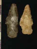 Copy of artifacts 1 355 (2).webp