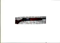 001.webp