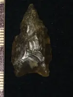 Copy of artifacts 1 356.webp
