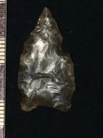Copy of artifacts 1 357.webp