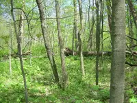 5-2-07 003.webp