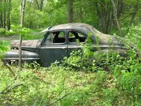 IMG_0121_2_1.webp